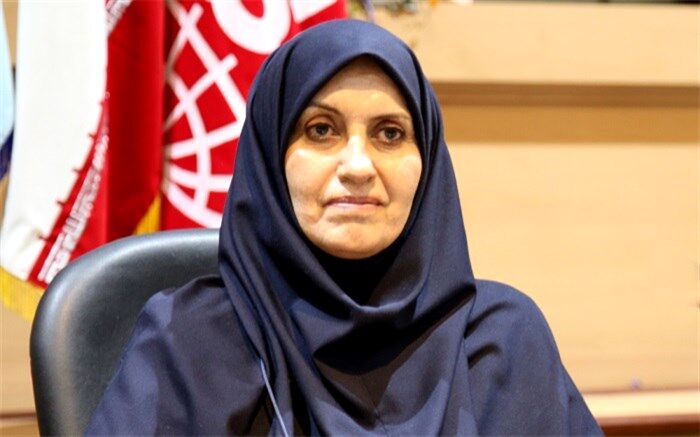 ۲۰ محموله وارداتی از سوی سازمان استاندارد مجوز واردات به کشور را دریافت نکرد