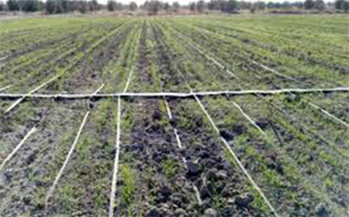 آغاز کشت های پاییزه در فارس