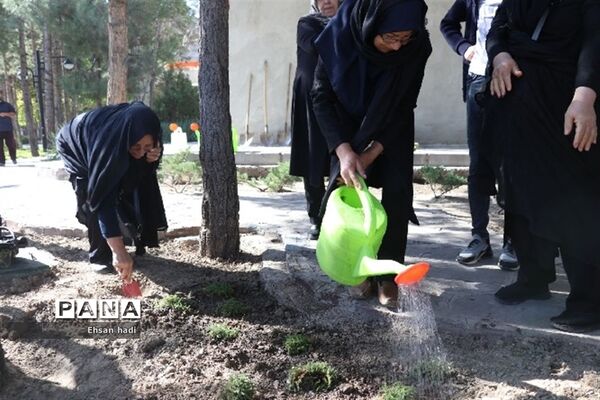 کاشت جمعی گل و گیاه در فضای سبز محلات توسط اعضای باشگاه سالمندان گنجینگان