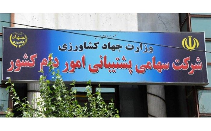 سرپرست شرکت پشتیبانی امور دام منصوب شد