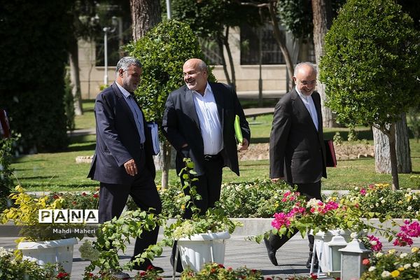 حاشیه جلسه هیات دولت