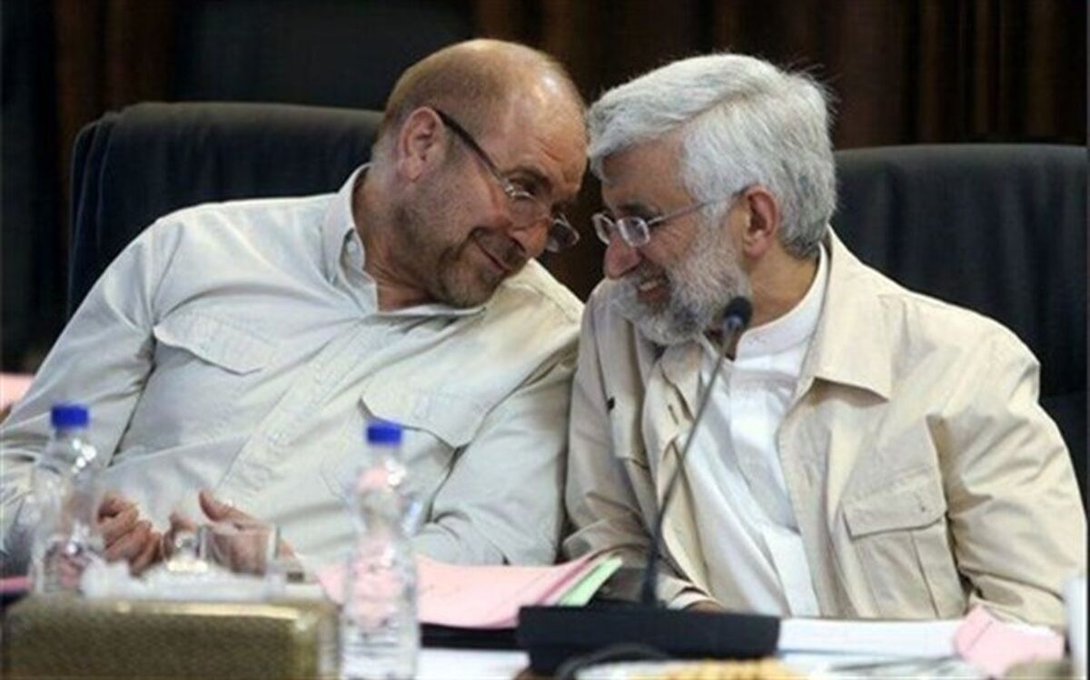 پایداری‌ها آقای دیپلمات را از کدام شهر راهی پارلمان می‌کنند؟