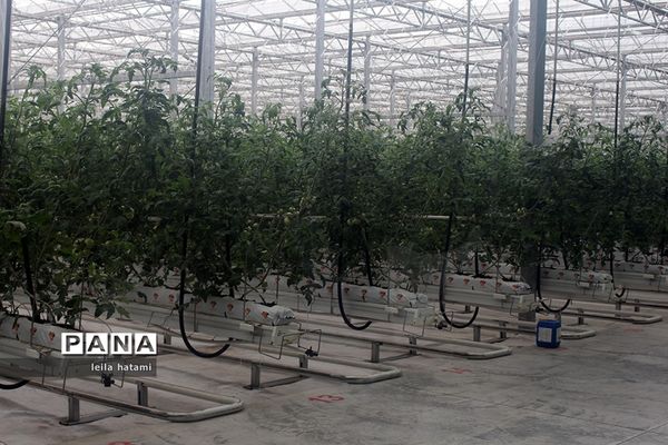 همایش معاونان تولیدات گیاهی و مدیران باغبانی سراسر کشور