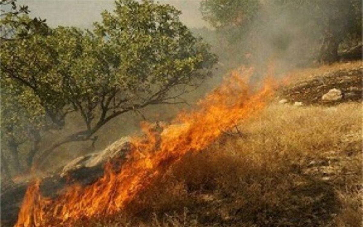 حریق در سه هکتار از مراتع روستای طرزه دامغان