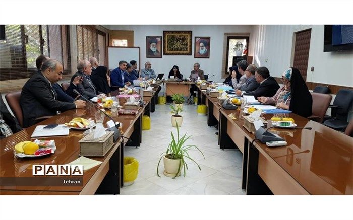 پانته‌آ درّی: هدف اصلی مصوبه شورای عالی ارتقای  روحیه مسئولیت پذیری درسطوح مختلف مدیریتی است