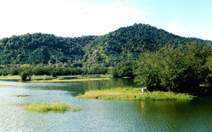 طرح گردشگری تالاب استیل آستارا با لحاظ  استانداردها ی محیط زیستی  اجرا می‌شود