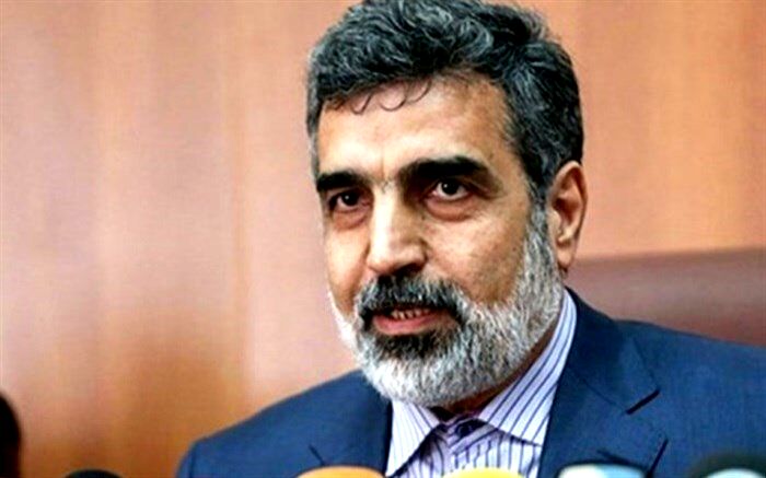 کمالوندی: سازمان انرژی اتمی تمامی شروط رهبری در حوزه کار خود را عملی کرده است