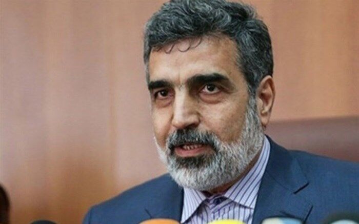 کمالوندی: سازمان انرژی اتمی تمامی شروط رهبری در حوزه کار خود را عملی کرده است