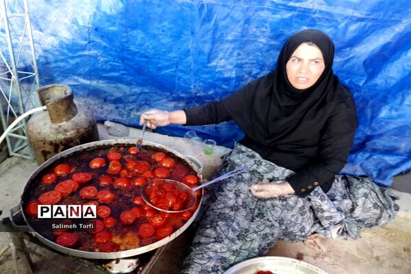 حال و هوای مواکب اربعین حسینی در مرز چزابه