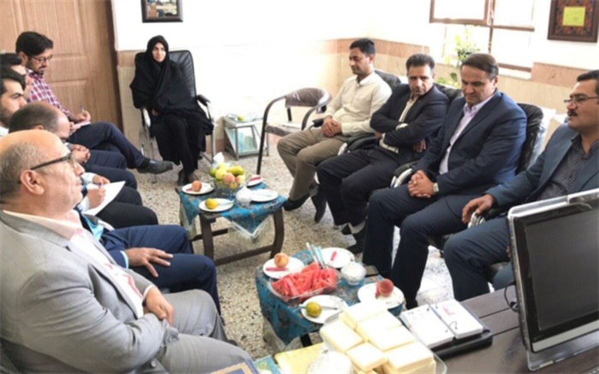 بررسی راهکارهای فعال سازی خبرگزاری پانا در مروست
