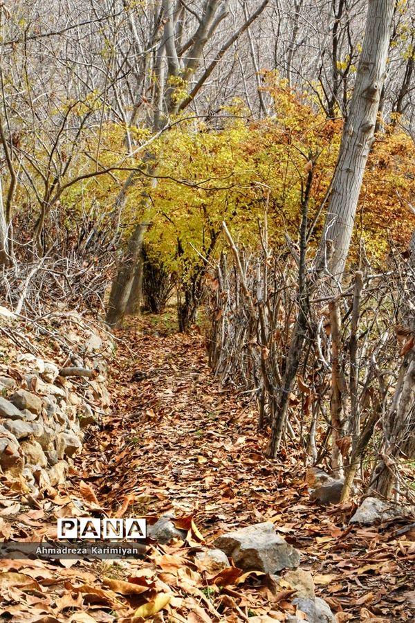 طبیعت پائیزی روستای دشتک
