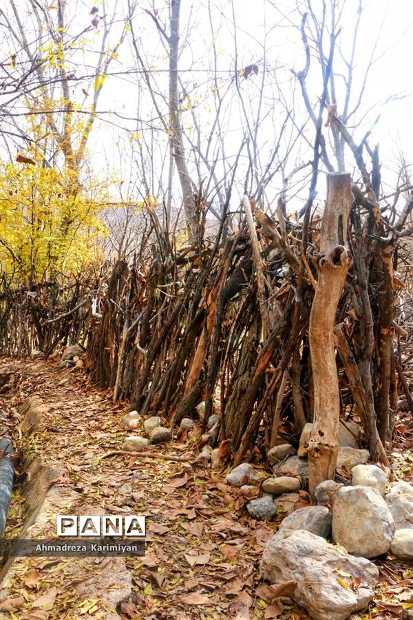 طبیعت پائیزی روستای دشتک