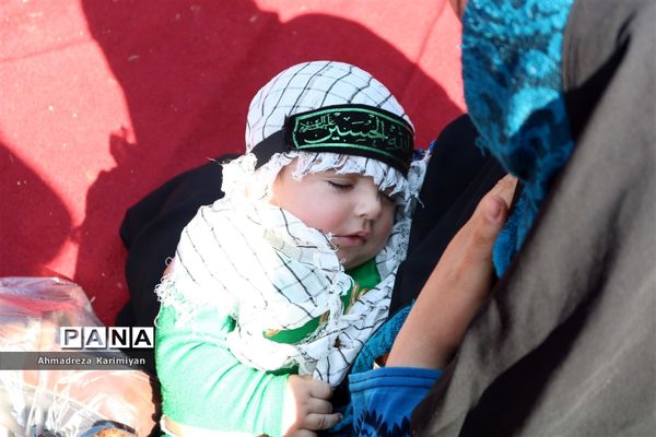 شور حسینی در حرم مطهر احمدبن موسی (ع) در شیراز