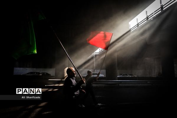 راهپیمایی جاماندگان اربعین حسینی - تهران