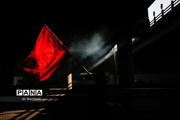 راهپیمایی جاماندگان اربعین حسینی - تهران