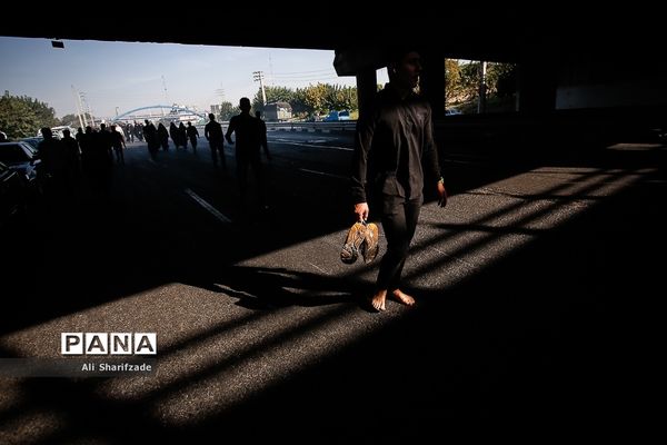 راهپیمایی جاماندگان اربعین حسینی - تهران