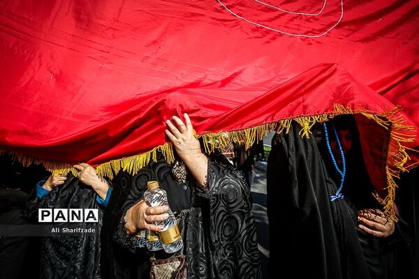 زیر پرچم امام حسین (ع)