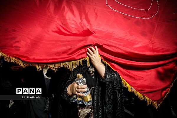 زیر پرچم امام حسین (ع)