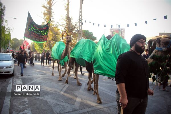 اربعین حسینی در چهاردانگه