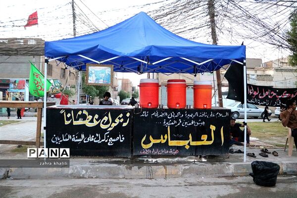 خادمی حسین (ع) در کربلای معلی