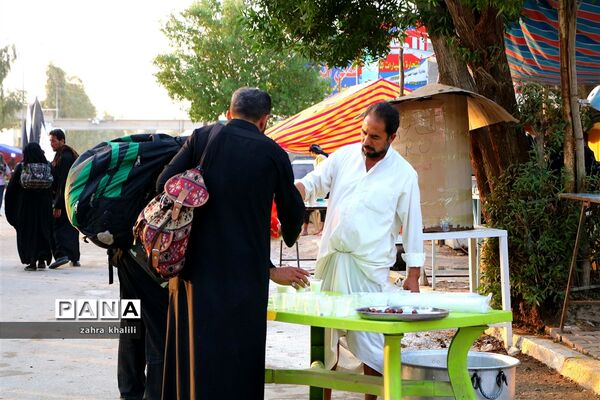 خادمی حسین (ع) در کربلای معلی