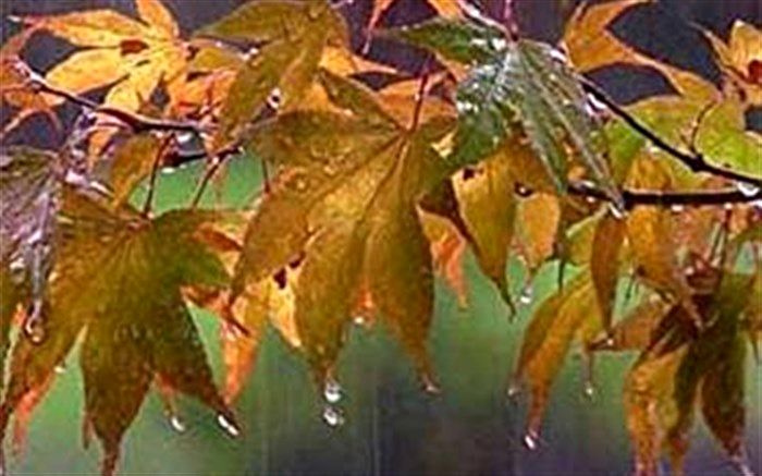 هوای گیلان از امروز خنک و بارانی می‌شود