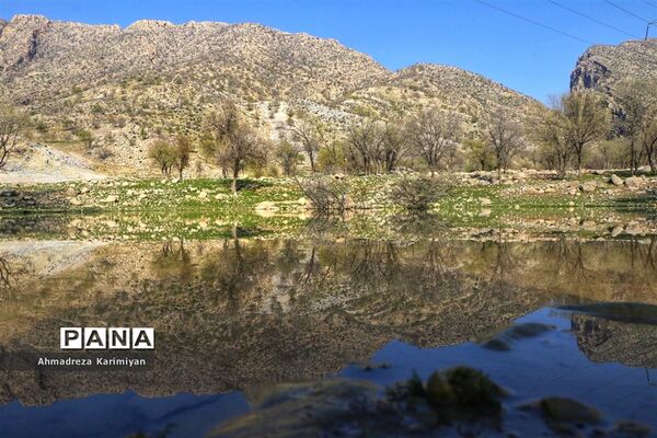 طبیعت زیبای تنگ نرگسی در کازرون فارس