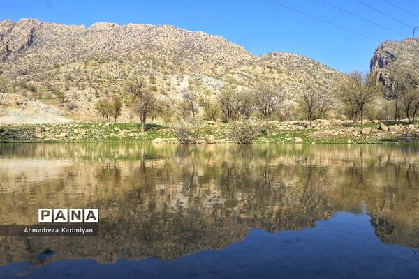 طبیعت زیبای تنگ نرگسی در کازرون فارس