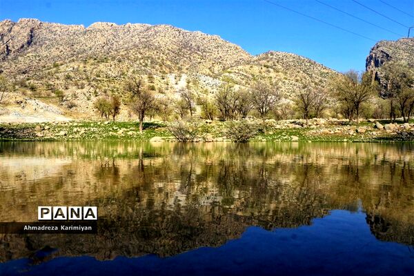 طبیعت زیبای تنگ نرگسی در کازرون فارس