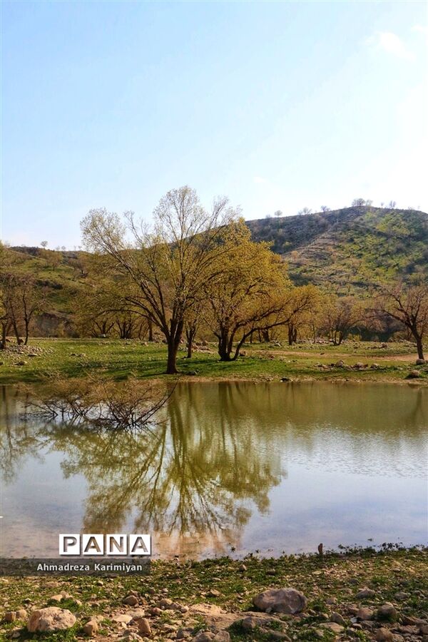 طبیعت زیبای تنگ نرگسی در کازرون فارس