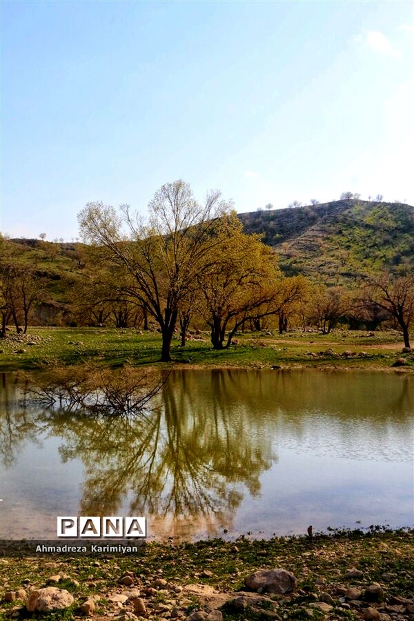 طبیعت زیبای تنگ نرگسی در کازرون فارس