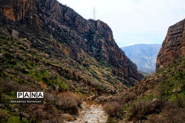 طبیعت زیبای تنگ نرگسی در کازرون فارس