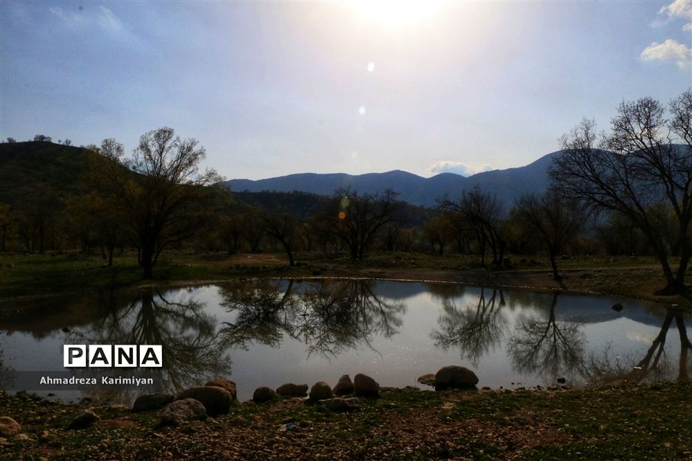 طبیعت زیبای تنگ نرگسی در کازرون فارس