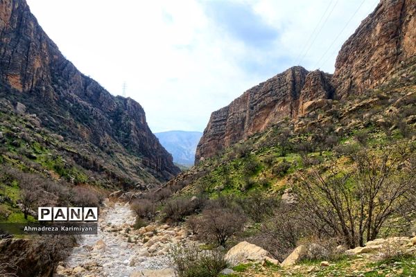 طبیعت زیبای تنگ نرگسی در کازرون فارس