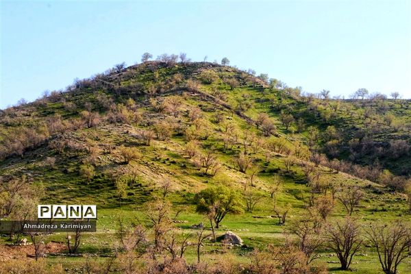 طبیعت زیبای تنگ نرگسی در کازرون فارس