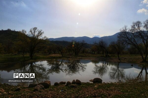 طبیعت زیبای تنگ نرگسی در کازرون فارس