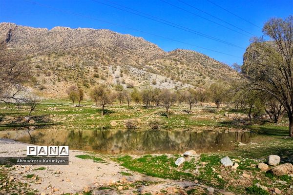 طبیعت زیبای تنگ نرگسی در کازرون فارس