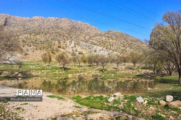 طبیعت زیبای تنگ نرگسی در کازرون فارس