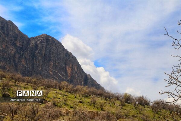 طبیعت زیبای تنگ نرگسی در کازرون فارس