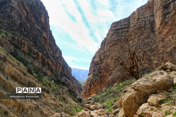 طبیعت زیبای تنگ نرگسی در کازرون فارس