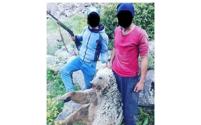 عاملان انتشار عکس کشتار خرس در ماکو دستگیر شدند