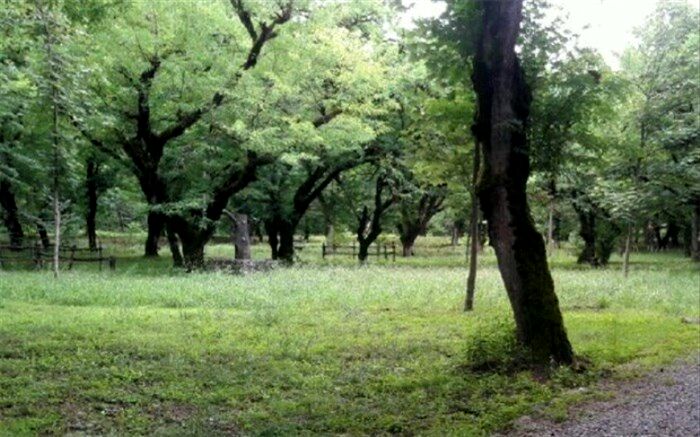 مدیریت پارک جنگلی کار شهرداری نیست