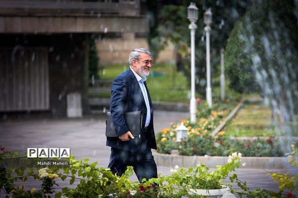 حاشیه جلسه هیات دولت