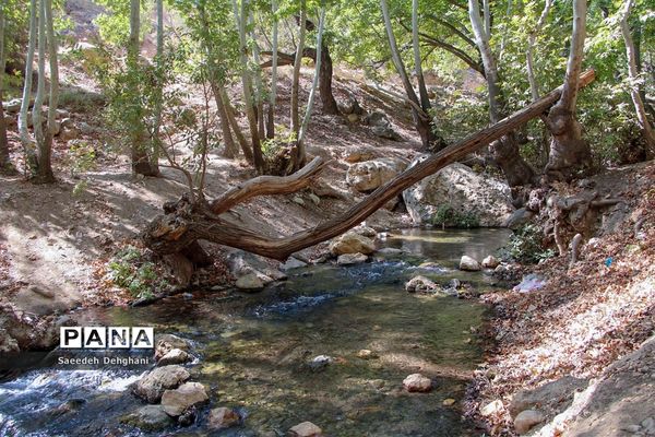 طبیعت زیبای تنگه غوره دان