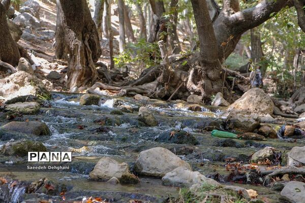 طبیعت زیبای تنگه غوره دان