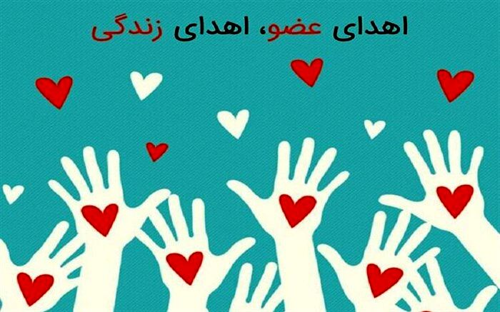 اهدای عضو دانش آموز لامردی  جان 3 بیمار را نجات داد