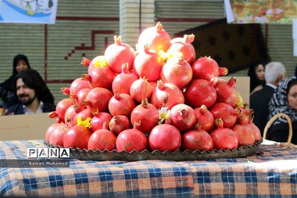 اولین جشنواره انار در روستای خورهه شهرستان محلات