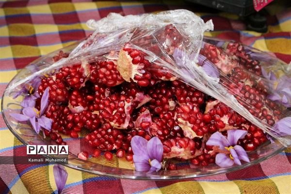 اولین جشنواره انار در روستای خورهه شهرستان محلات