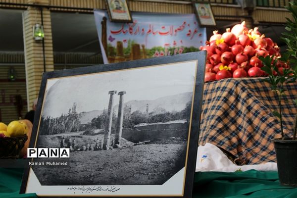اولین جشنواره انار در روستای خورهه شهرستان محلات