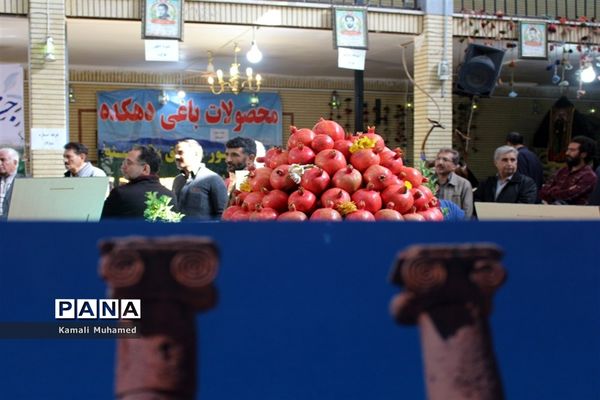 اولین جشنواره انار در روستای خورهه شهرستان محلات